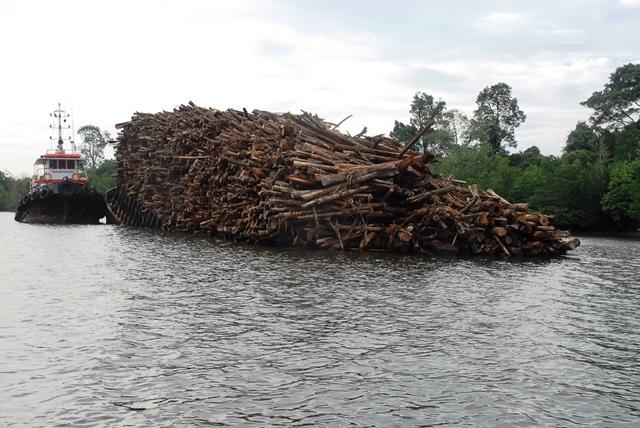 RAPP Barge Sinking with Full Load of Timber