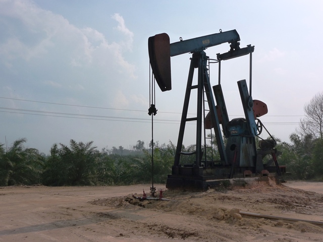 Landscape of Natural Resources Exploitation, Drilling Rig of Oil and Oil Palm Plantation