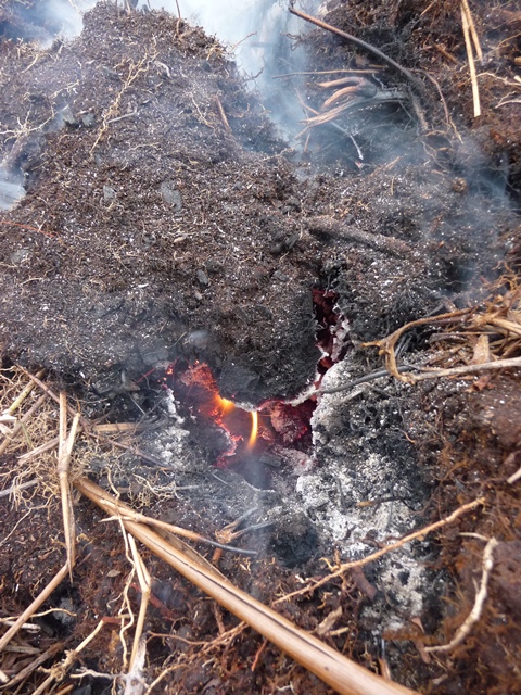 Burning Peat Soil