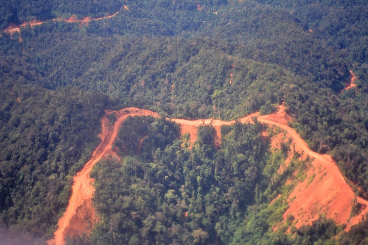 ①上空から見た森林の様子。伐採道路により土砂崩れが起きている