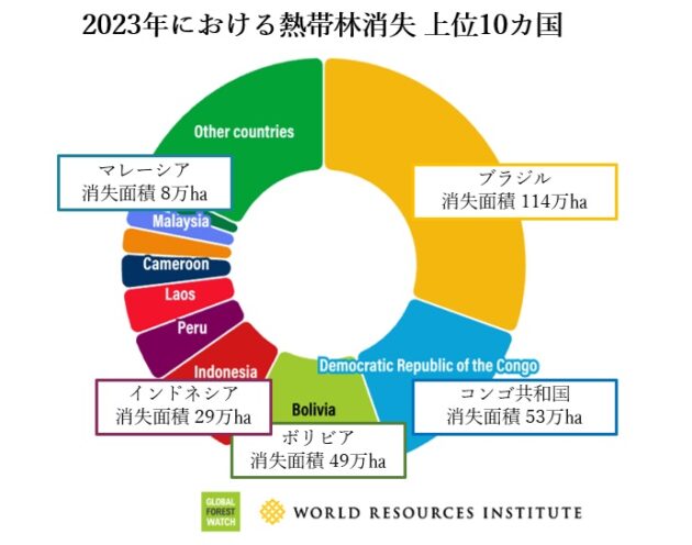 熱帯林消失,2023年,上位10か国